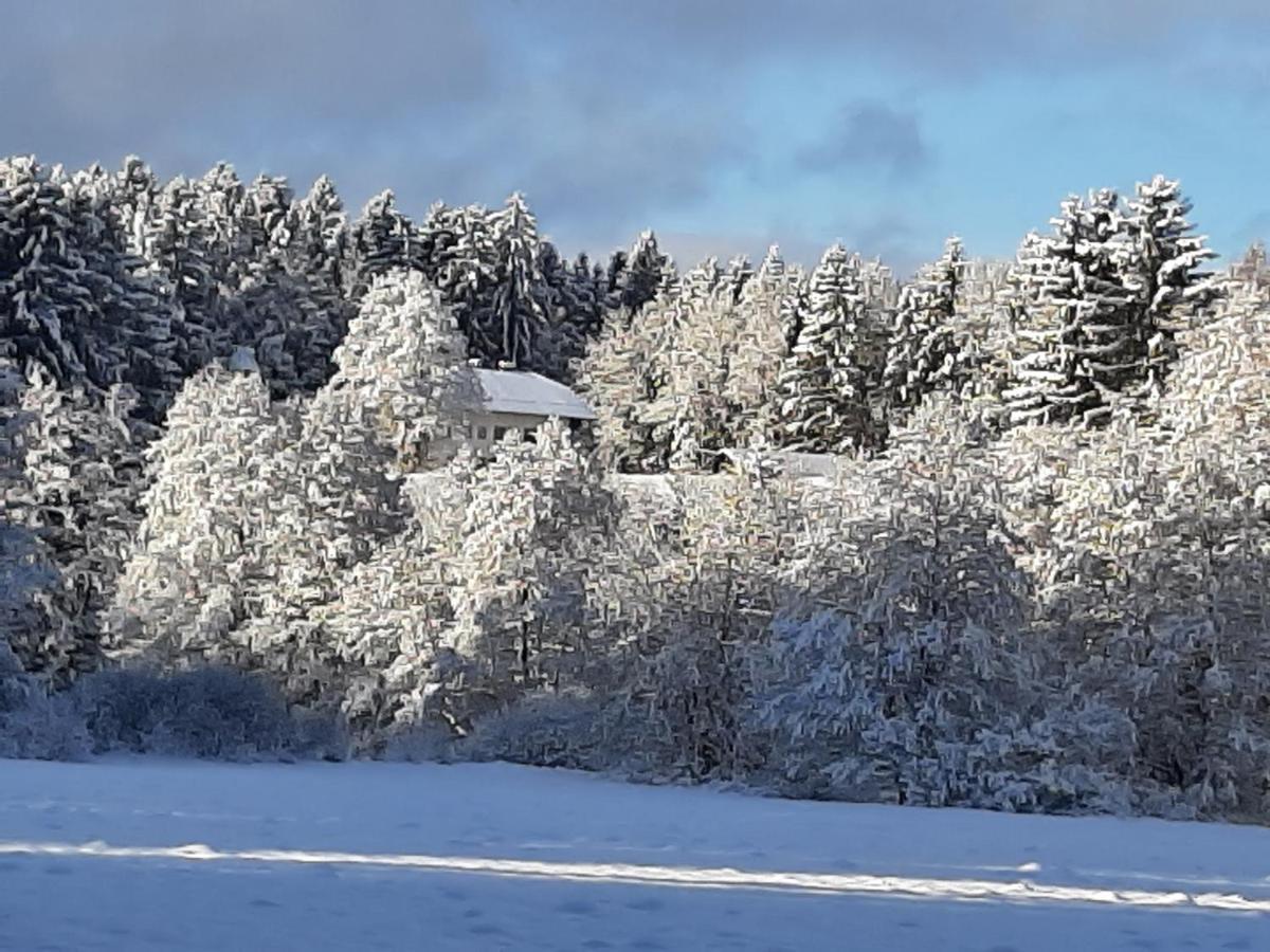 Chalet Waldstadl, Andrea'S Woidhaisl 阿尔恩布鲁克 外观 照片